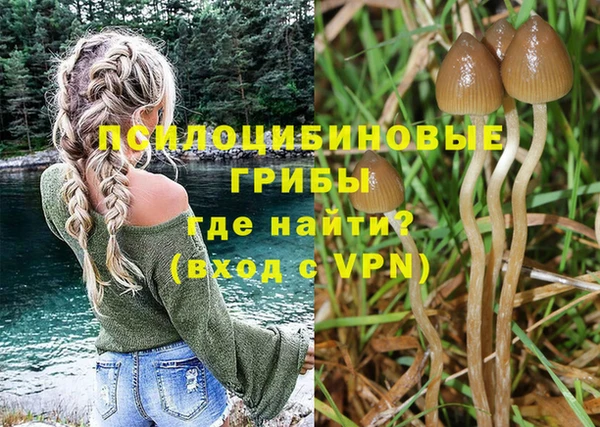 mix Алексин